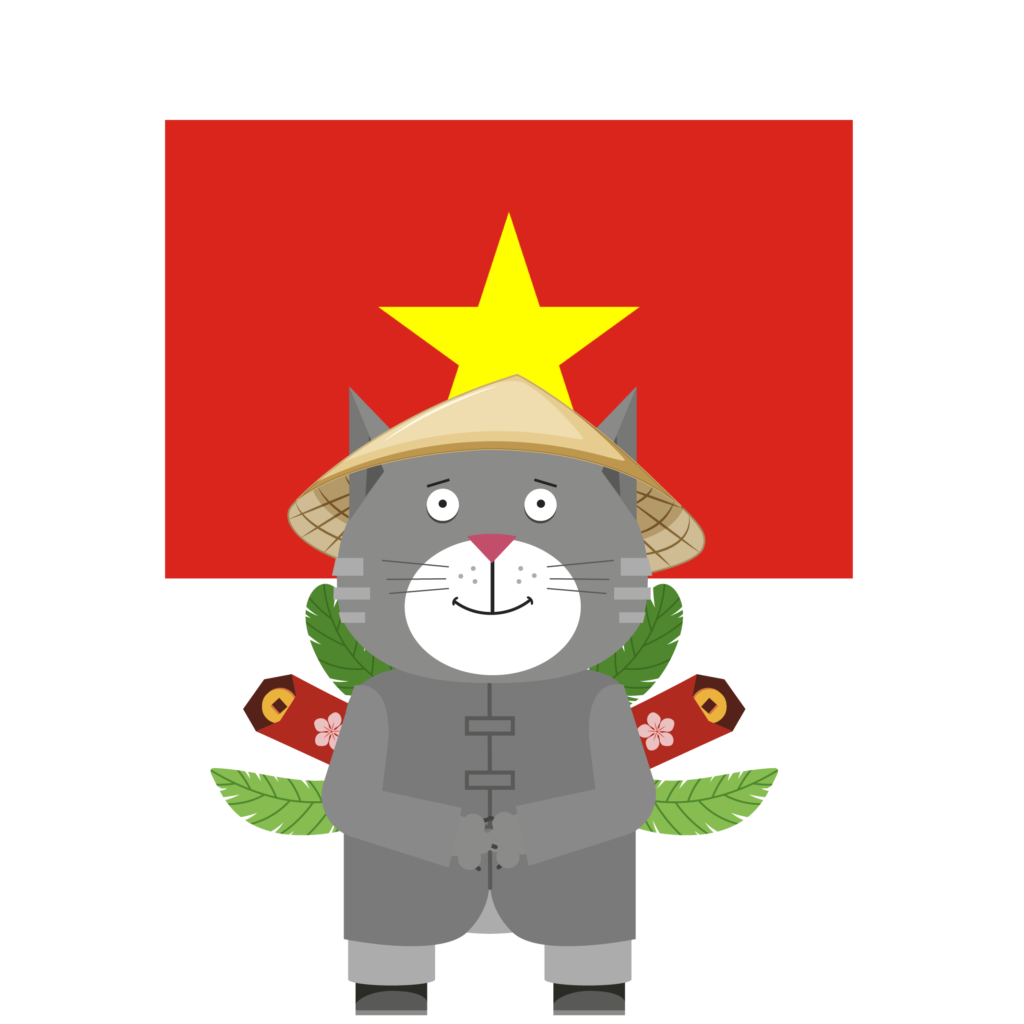 Як лити фінансовий трафік на бурж у В'єтнам