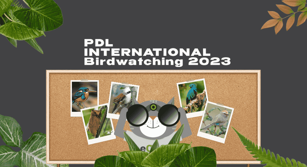 PDL International 2023