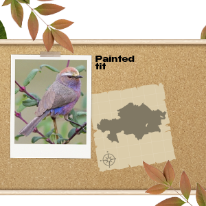 The Best Payday Loans Affiliate Programs GEO Kazahstan 