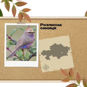 Найкращі офери PDL International на ГЕО Казахстан