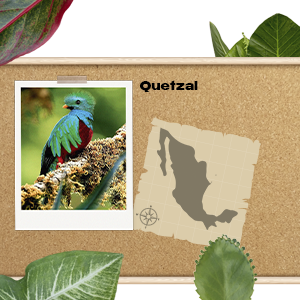 PDL International GEO Mexico