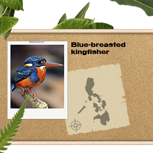 Philippines Payday Loans Affiliate Programs 