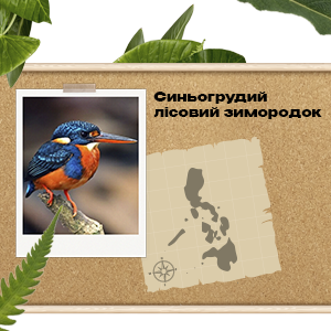 Найкращі офери PDL International  Філіппіни