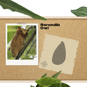 Shri Lanka The Best Payday Loans Affiliate Programs 