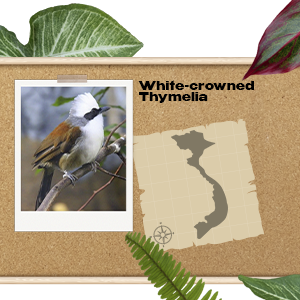 The Best Payday Loans Affiliate Programs  Vietnam