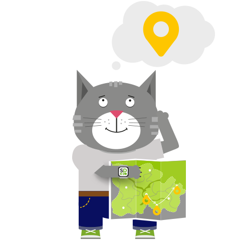cat with sitemap
