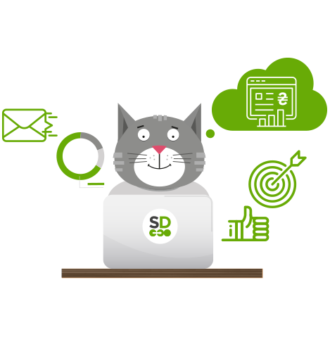 работа с SalesDoubler