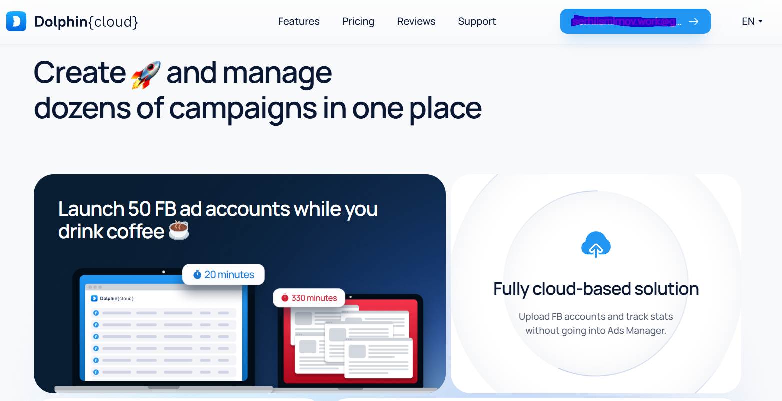 Dolphin Cloud: A Review of a Platform for Managing Advertising Accounts