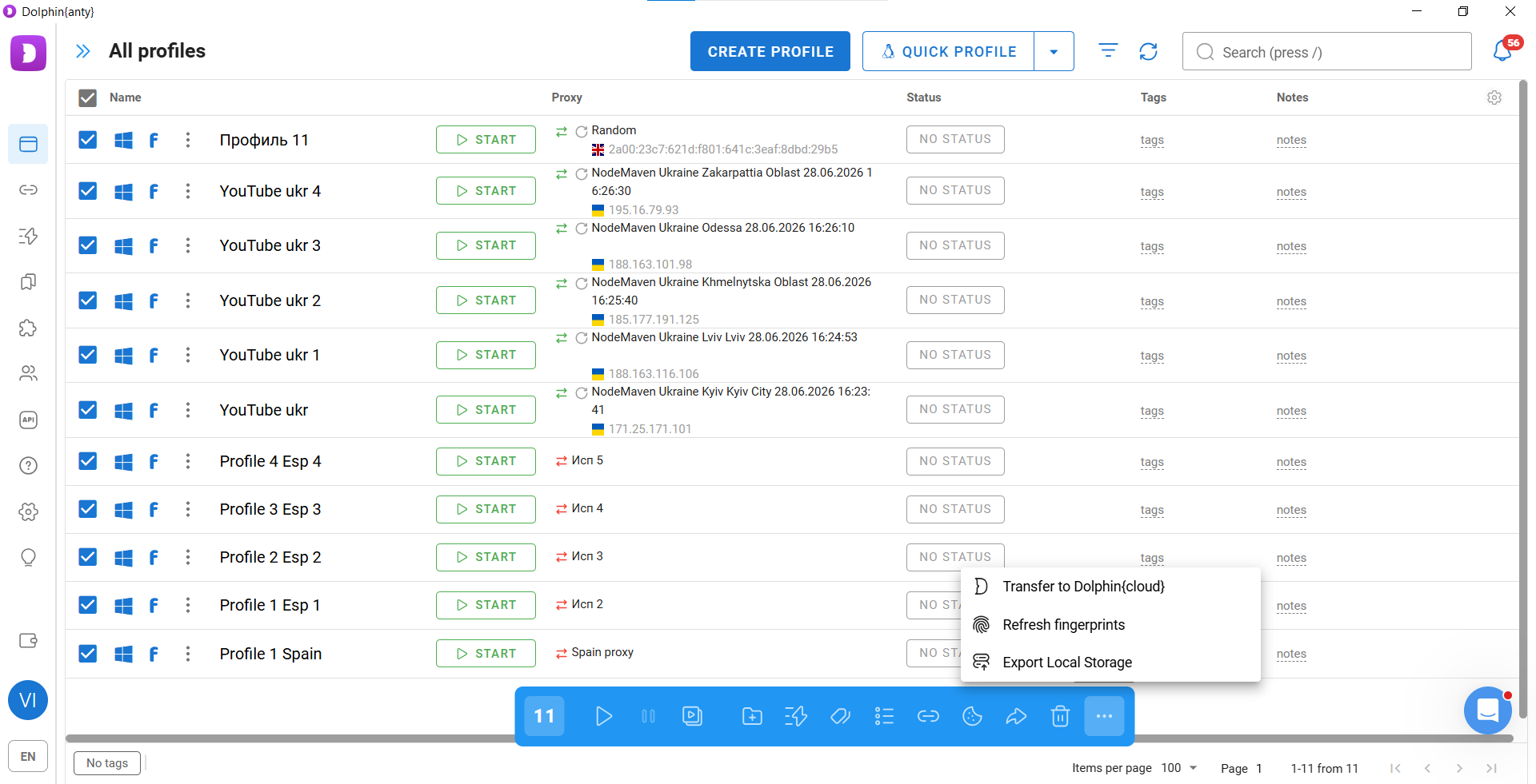 Managing Browser Profiles Individually and in Bulk